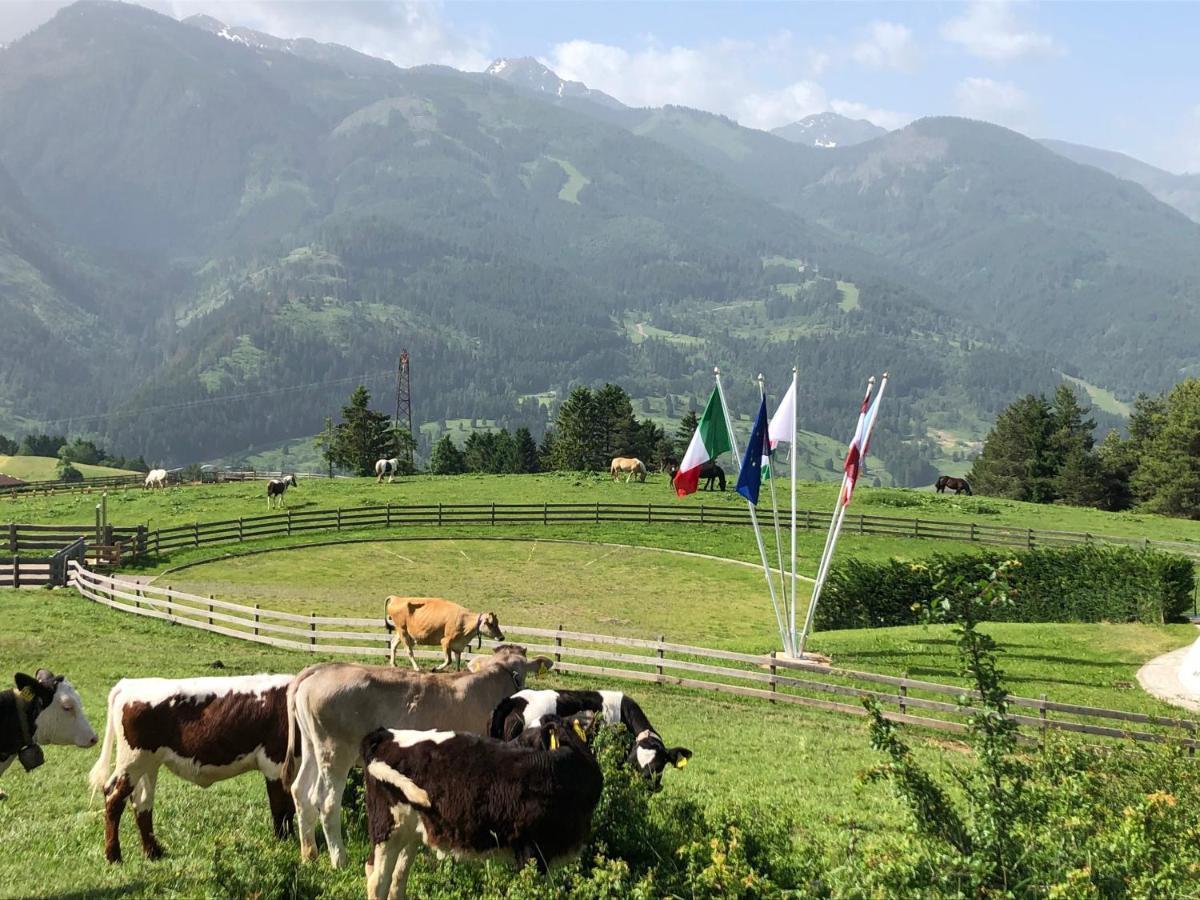B&B Le Stagioni Di Stava Tesero Exteriör bild