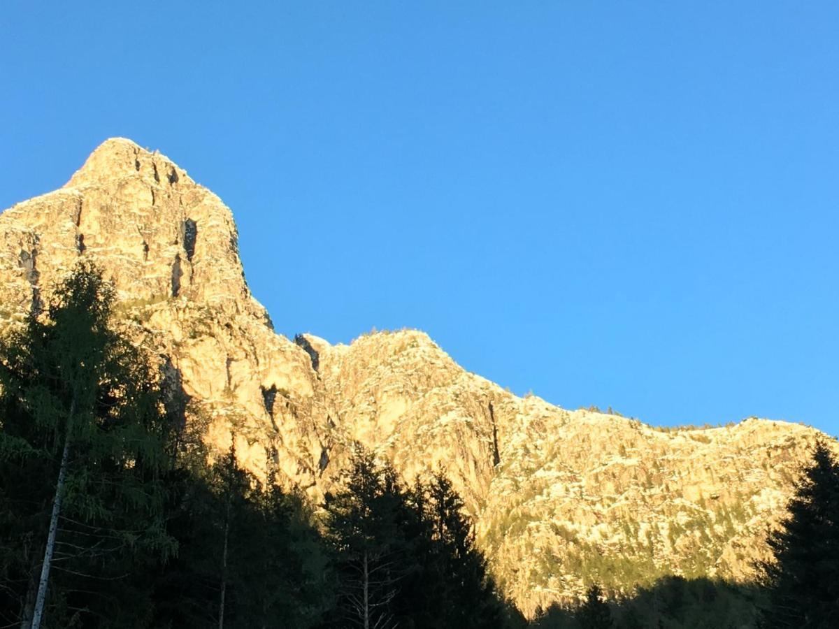 B&B Le Stagioni Di Stava Tesero Exteriör bild