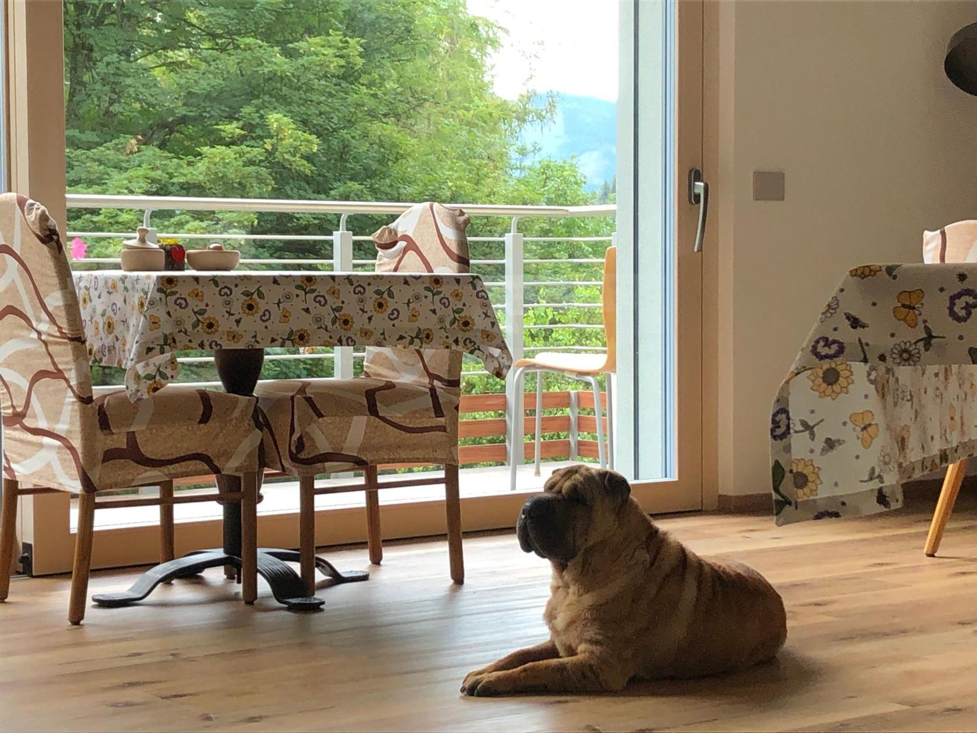 B&B Le Stagioni Di Stava Tesero Exteriör bild